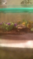 イった時の一言は…