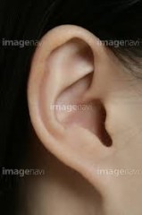 【お題日記】こんなHな知識あります