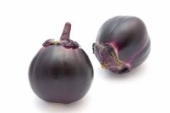 【お題日記】今まで一度しか見たことがないアレ