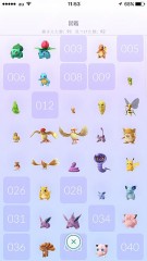 久しぶりにポケモン