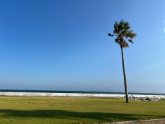 今日のお題： Hのルーティーンある？