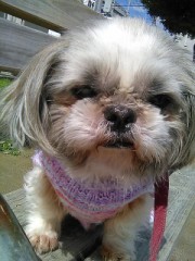 久しぶりに来た?