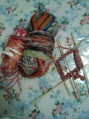 愛玩動物飼養管理士の試験結果