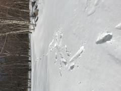 【お題日記】イッた後にしてほしいこと