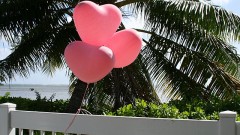 【お題日記】あなたの忘れられない恋を教えてください