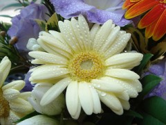 【お題日記】変わる事っていいことですか？