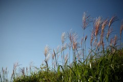 【お題日記】人は、なんで答えを出したがるの？