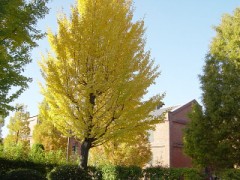 【お題日記】若さってなんだ？