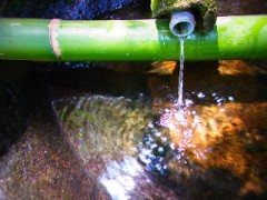 【お題日記】どんな風に暑さをしのいでいますか？