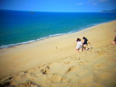 【お題日記】夏のドライブに合う曲