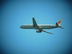 【お題日記】突然明日が休みになったら、何をする？