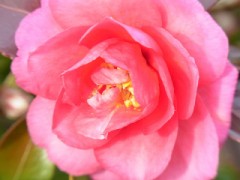 【お題日記】何に一番お金を使ってる？