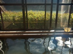 【お題日記】ココに旅行に行きたい！