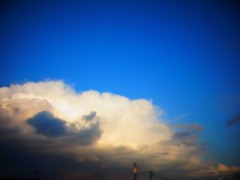 【お題日記】明日で世界が終わるなら何する？