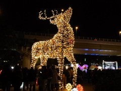 【お題日記】好きな人に恋人がいたらどうする？