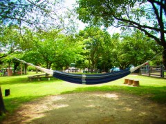 【お題日記】突然長期休暇が取れたらどうする？