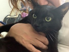 【お題日記】間取り教えて