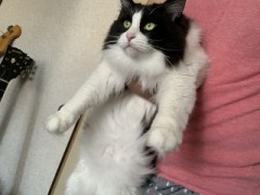 カフェで勉強したことある？