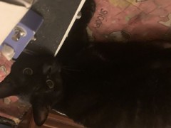 【お題日記】浮気を疑ってしまう瞬間は？