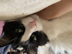 【お題日記】自分のカラダのコンプレックスある？