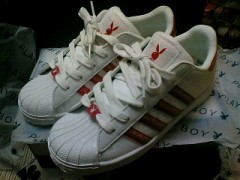 買っちゃった(≧∇≦)