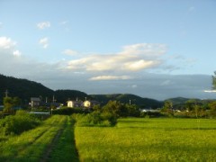 田舎の風景