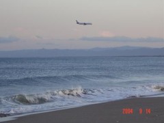 誰か癒してぇ～っ！！