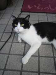 【お題日記】ときめきの瞬間