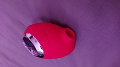 コレクション③