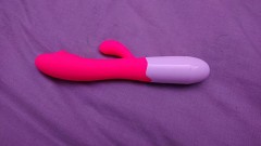 コレクション⑥