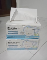 マスクが手に入りました