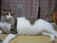 プレゼント何よしようか・・・