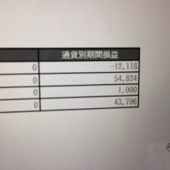 豪ドル、トルコで年収2000万円を目指す～33～