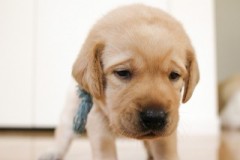 今日はいい天気だったけれど、１２月の雨♪