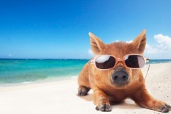 【お題日記】別れた異性と友達になる？2回ある