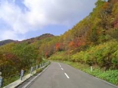 紅葉ー心のオアシス