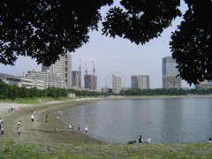 お台場の海