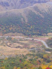 空から見た紅葉