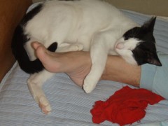 脚を枕にして眠るもも