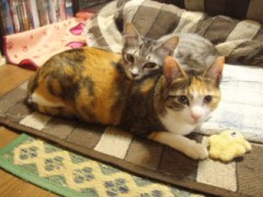 やっと仲良くなりました