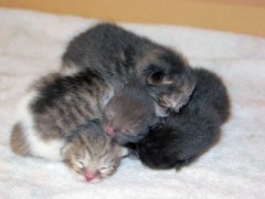 やべぇｗｗｗｗ