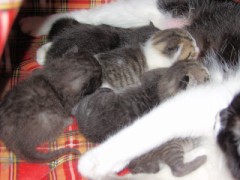 好評につき皆様の要望に応えますヵ( ´∀｀)