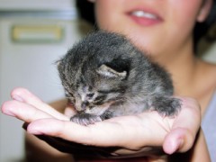 心の奥を知って貰えれば・・・