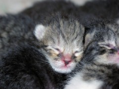 暖かを大切にしたい