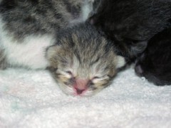 いつまで堪えれば・・・つらい