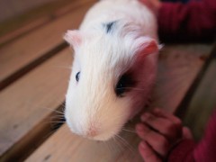 貴女に伝えたい事が・・・