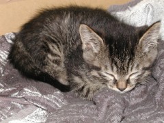 お出かけわぁ～いﾟ.+:｡(ﾉ^∇^)ﾉﾟ.+:｡