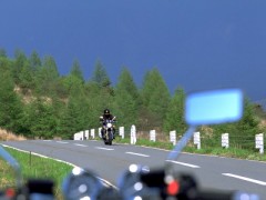 遠くを見つめて・・・