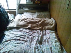 僕の愛すべき存在を、紹介します　＋【お題日記】私は○○フェチです！