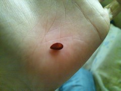 世の中、こっから始まるんだよな？　＋【お題日記】目のつけどころって、どんなとこ？